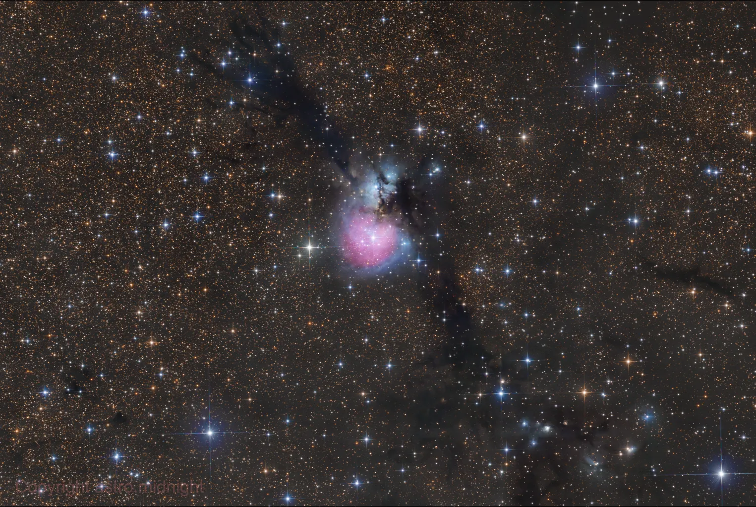 Nebulosa Little Cocoon, em tons de rosa e azul, num campo denso de estrelas douradas